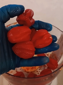 Habanero chillies